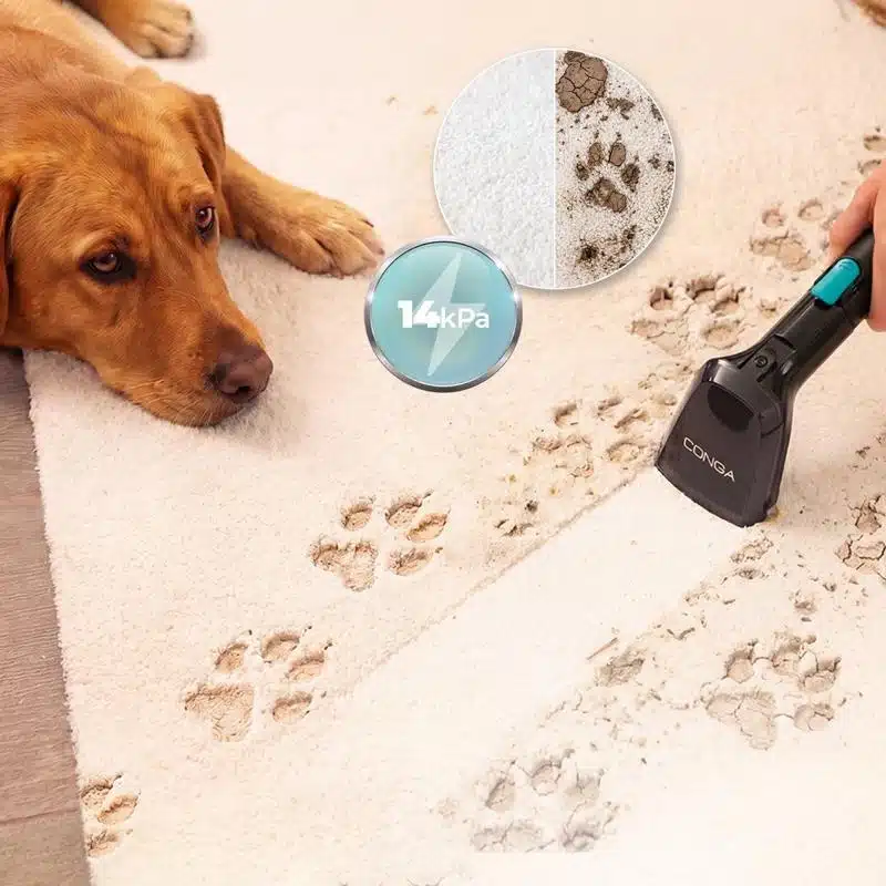 Aspirador de tapicerías Cecotec Conga 6000 Carpet&Spot Clean XL Pro - Imagen 9