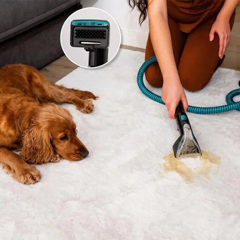 Limpiatapicerías Cecotec Conga 7000 Carpet&Spot Clean Steam XXL Pro - Imagen 13