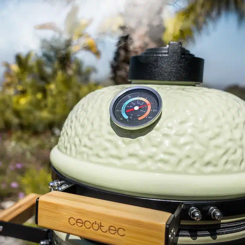 Barbacoa de carbón cerámica Cecotec Dragonfire 3200 Kamado - Imagen 5